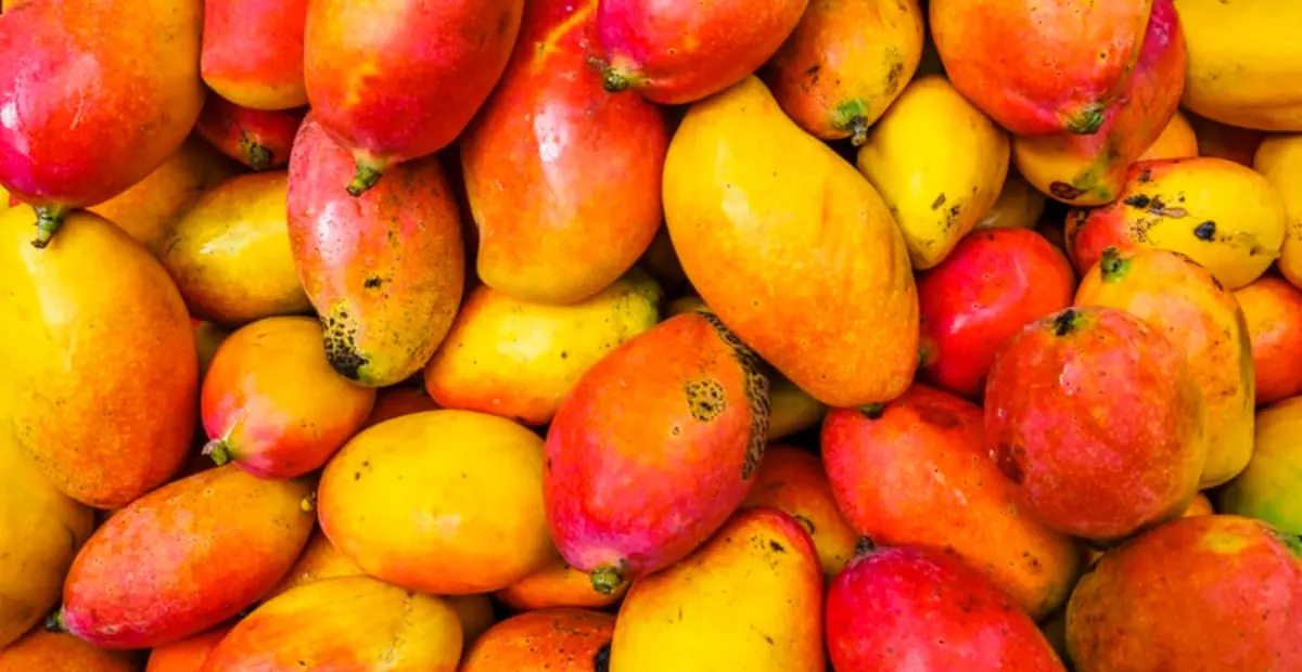 Las propiedades del mango: tu mejor aliado